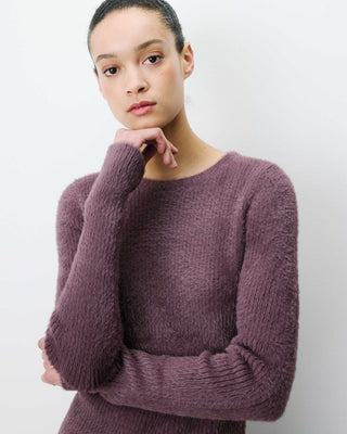 Pull doux près du corps col rond aubergine Auryn