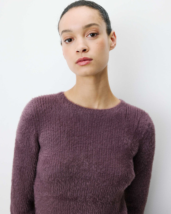 Pull doux près du corps col rond aubergine Auryn