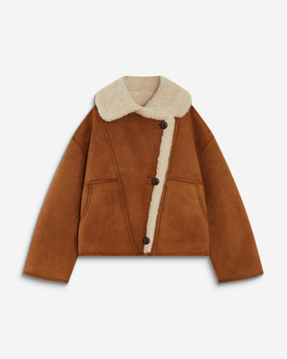 camel Apollo